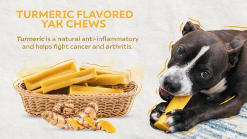 Show full view: Safe Dog Chew Turmeric Flavored Yak Dog Himalayan Chew Treats, Large: 6-in slide 5 of 12