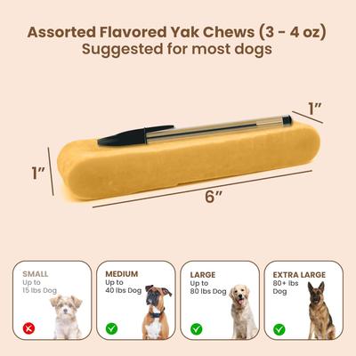 Show full view: Kathmandus Mix Flavored Yak Dog Chews Treats, Large: 6-in, 4 count slide 7 of 11