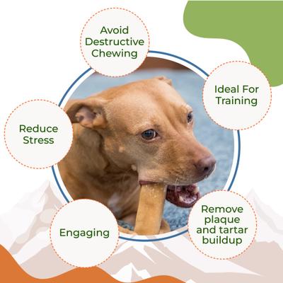 Show full view: Kathmandus Himalayan Yak Dog Chew Treats, Mega: 8-in, 1 count slide 10 of 12