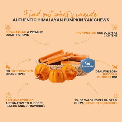 Show full view: Kathmandus Pumpkin Flavored Yak Dog Chew Treats, Large: 6-in, 4 count slide 4 of 12