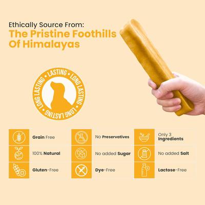 Show full view: Safe Dog Chew Turmeric Flavored Yak Dog Himalayan Chew Treats, Large: 6-in slide 9 of 12