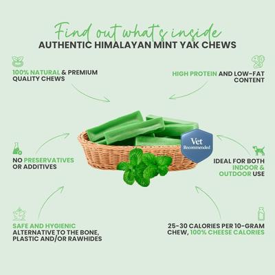 Show full view: Safe Dog Chew Mint Flavored Yak Dog Himalayan Chew Treats, Large: 6-in slide 7 of 11