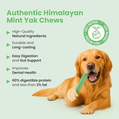 Show full view: Kathmandus Mint Flavored Yak Dog Chew Treats, Large: 6-in, 4 count slide 8 of 12