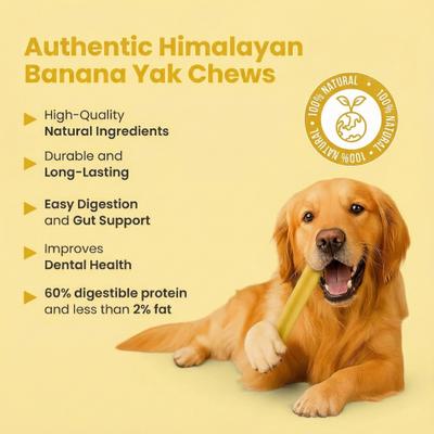 Show full view: Safe Dog Chew Banana Flavored Yak Dog Himalayan Chew Treats, Large: 6-in slide 6 of 8