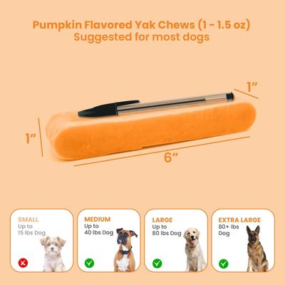 Show full view: Kathmandus Pumpkin Flavored Yak Dog Chew Treats, Large: 6-in, 4 count slide 7 of 12