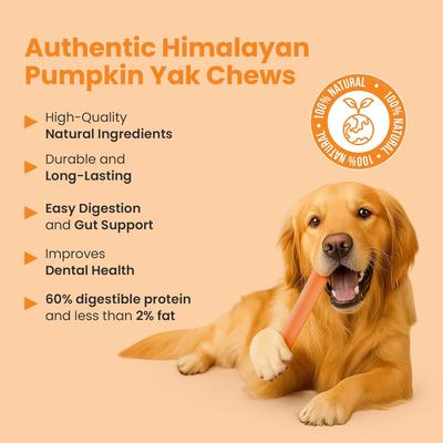 Show full view: Kathmandus Pumpkin Flavored Yak Dog Chew Treats, Large: 6-in, 4 count slide 5 of 12