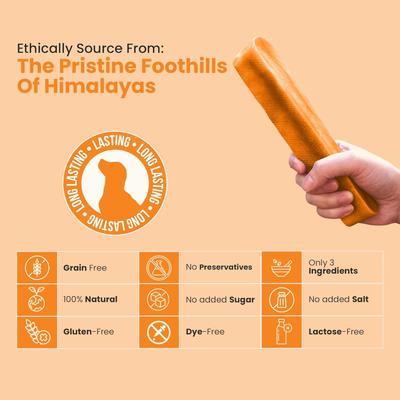 Show full view: Kathmandus Pumpkin Flavored Yak Dog Chew Treats, Large: 6-in, 4 count slide 6 of 12