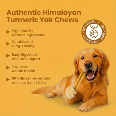 Show full view: Safe Dog Chew Turmeric Flavored Yak Dog Himalayan Chew Treats, Large: 6-in slide 7 of 12