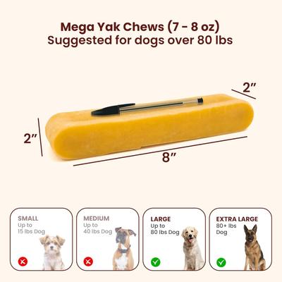 Show full view: Kathmandus Himalayan Yak Dog Chew Treats, Mega: 8-in, 1 count slide 7 of 12