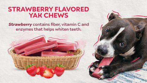 Show full view: Safe Dog Chew Strawberry Flavored Yak Dog Himalayan Chew Treats, Small: 4-in, 3 count slide 5 of 8
