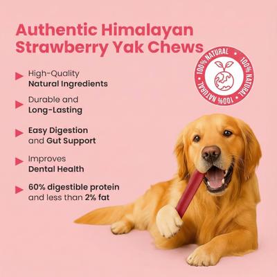 Show full view: Safe Dog Chew Strawberry Flavored Yak Dog Himalayan Chew Treats, Small: 4-in, 3 count slide 6 of 8
