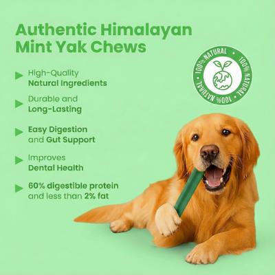 Show full view: Safe Dog Chew Mint Flavored Yak Dog Himalayan Chew Treats, Large: 6-in slide 6 of 11