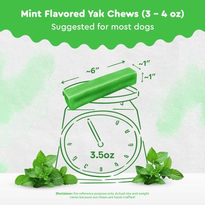 Show full view: Safe Dog Chew Mint Flavored Yak Dog Himalayan Chew Treats, Large: 6-in slide 4 of 11