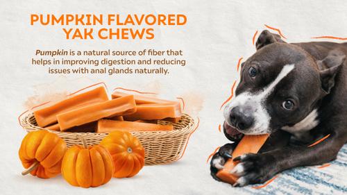Show full view: Safe Dog Chew Pumpkin Flavored Yak Dog Himalayan Chew Treats, Large: 6-in slide 5 of 11