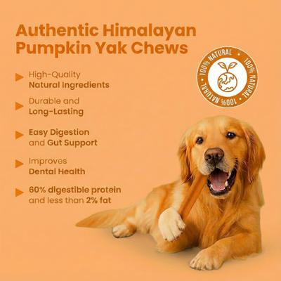 Show full view: Safe Dog Chew Pumpkin Flavored Yak Dog Himalayan Chew Treats, Large: 6-in slide 6 of 11
