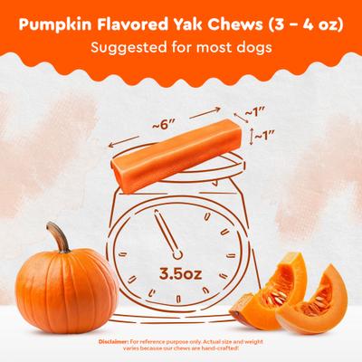 Show full view: Safe Dog Chew Pumpkin Flavored Yak Dog Himalayan Chew Treats, Large: 6-in slide 4 of 11