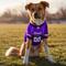 Show in main carousel: Littlearth NFL Game Day Dog & Cat Jersey, Minnesota Vikings, Large slide 2 of 8