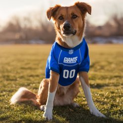 Littlearth NFL Game Day Dog & Cat Jersey, New York Giants, Large slide 2 of 7