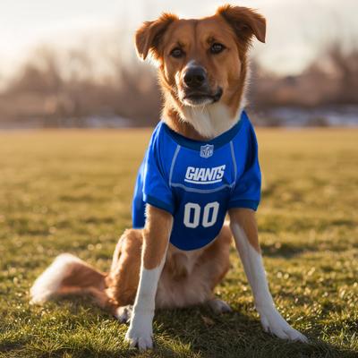 Show full view: Littlearth NFL Game Day Dog & Cat Jersey, New York Giants, X-Small slide 2 of 8