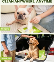 PawSono Portable Deodorizing Coconut Scented Dog & Cat Glove Grooming Wipes, 12 count slide 2 of 9