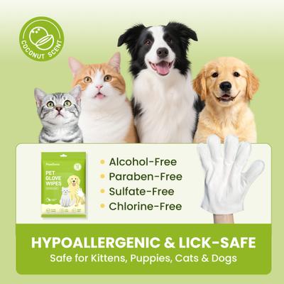 Show full view: PawSono Portable Deodorizing Coconut Scented Dog & Cat Glove Grooming Wipes, 12 count slide 9 of 9