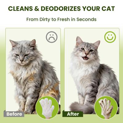 Show full view: PawSono Portable Deodorizing Coconut Scented Dog & Cat Glove Grooming Wipes, 12 count slide 5 of 9