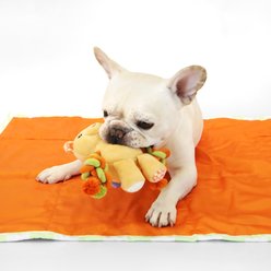 florence by mills Rope Bear Dog Toy, Orange slide 2 of 5