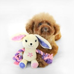 florence by mills Rope Bear Dog Toy, Purple