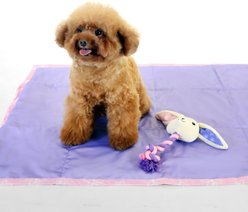 florence by mills Rope Dog Toy, Purple