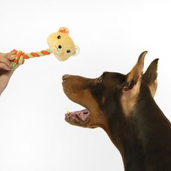 florence by mills Rope Dog Toy, Orange