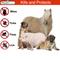 Show in main carousel: Premo Guard Kills & Protects Against Mites, Fleas, Ticks, Lice & Mosquitoes Dog & Cat Spray, 128-fl oz bottle slide 6 of 8