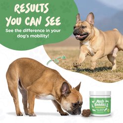 Mush Buddies Hip & Joint Soft Chew Supplement for Dogs, 60 count slide 2 of 8