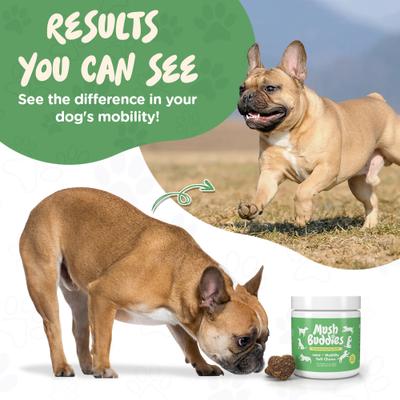Show full view: Mush Buddies Hip & Joint Soft Chew Supplement for Dogs, 60 count slide 6 of 10