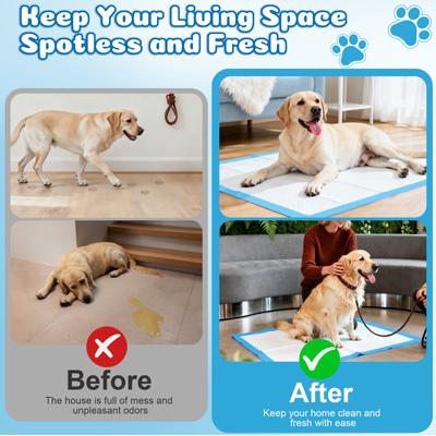 Show full view: Yafylly Premium Dog Potty Pads, XX-Large: 32 x 35-in, 40 count, Unscented slide 6 of 8