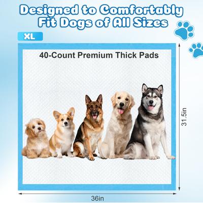 Show full view: Yafylly Premium Dog Potty Pads, XX-Large: 32 x 35-in, 40 count, Unscented slide 3 of 8