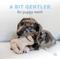 Show in main carousel: Benebone Bacon Flavor Tough Puppy Chew Toy, 2 count slide 6 of 11