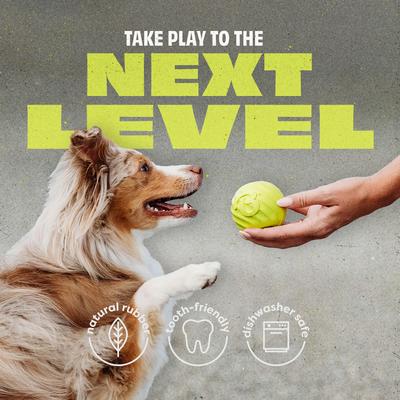 Show full view: Benebone Rubber Bounce Ball Dog Toy, Green, Medium, 4 count slide 4 of 7