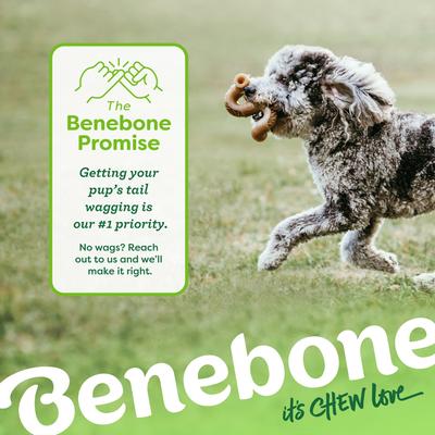 Show full view: Benebone Tripe Bone Tough Dog Chew Toy, Brown, Medium slide 8 of 9