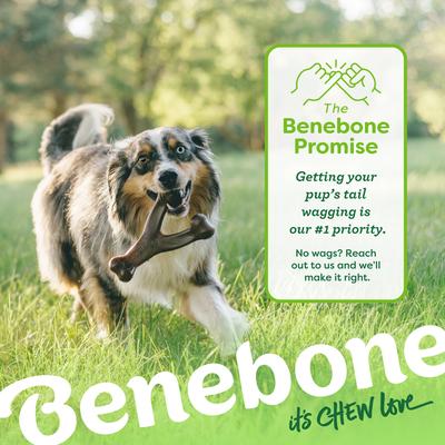 Show full view: Benebone Bacon Flavor Wishbone Tough Dog Chew Toy, Medium slide 8 of 10