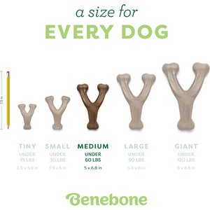 Benebone Bacon Flavor Wishbone Tough Dog Chew Toy, Medium