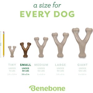 Benebone Bacon Flavor Wishbone Tough Dog Chew Toy, Small
