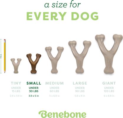 Show full view: Benebone Bacon Flavor Wishbone Tough Dog Chew Toy, Small slide 4 of 10