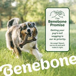 Benebone Chew & Chase Ball, Bone, Bacon Wishbone & Fishbone Dog Toys, Medium, 4 count slide 2 of 6