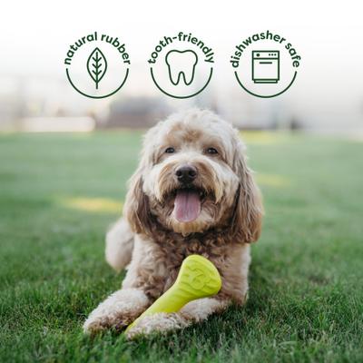 Show full view: Benebone Chew & Chase Ball, Bone, Bacon Wishbone & Fishbone Dog Toys, Medium, 4 count slide 4 of 6