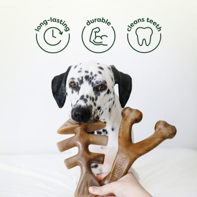 Show full view: Benebone Chew & Chase Ball, Bone, Bacon Wishbone & Fishbone Dog Toys, Medium, 4 count slide 5 of 6