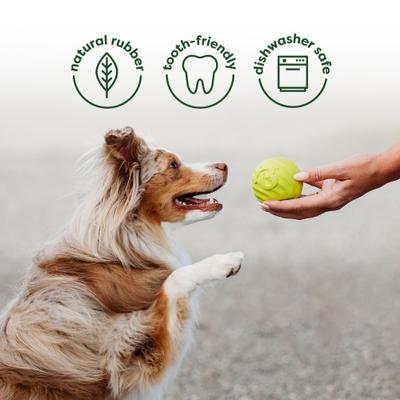 Show full view: Benebone Chew & Chase Ball, Bone, Bacon Wishbone & Fishbone Dog Toys, Medium, 4 count slide 3 of 6