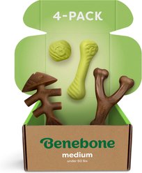 Benebone Chew & Chase Ball, Bone, Bacon Wishbone & Fishbone Dog Toys, Medium, 4 count