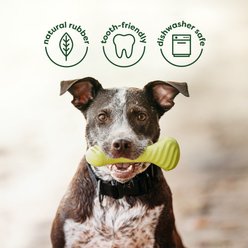 Benebone Chew & Chase Duo Bacon Wishbone & Rubber Bone Dog Toys, Medium, 2 count slide 2 of 6