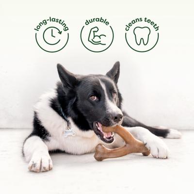 Show full view: Benebone Chew & Chase Duo Bacon Wishbone & Rubber Bone Dog Toys, Medium, 2 count slide 3 of 6