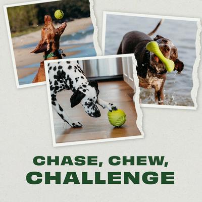 Show full view: Benebone Chew Chase Challenge Trio Ball, Bone & Pawbler Dog Toys, Medium, 3 count slide 3 of 8